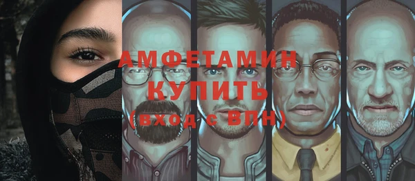 гашик Верея