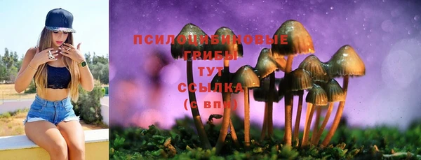 гашик Верея