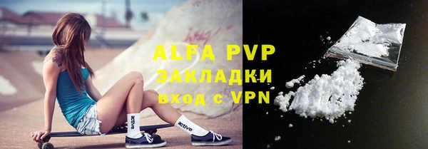 гашик Верея