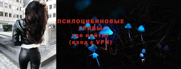 гашик Верея