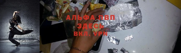 прущие грибы Бородино