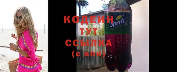гашик Верея