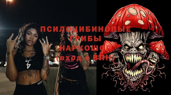 гашик Верея