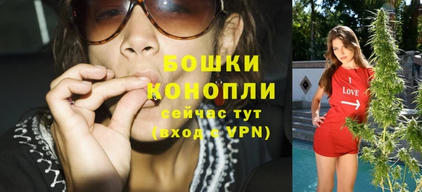 гашик Верея