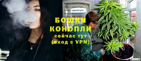 гашик Верея