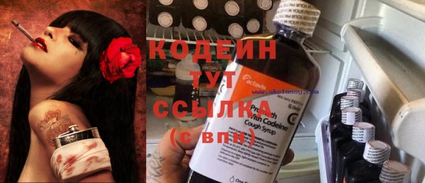 гашик Верея