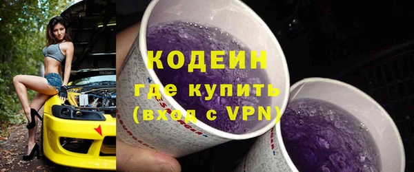 гашик Верея